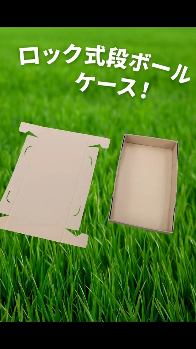 簡単に組み立て可能！ロック式段ボールケースのご紹介！カミコンとあわせてご使用いただくと便利です(^_-)-☆
#オカベカミコン
#カミコン
#仕切り
#ケース
#ロック式ケース