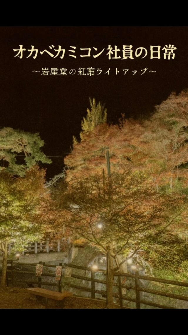 愛知県瀬戸市の岩屋堂の紅葉ライトアップ！とても綺麗で心が癒されます(^^)/
#オカベカミコン
#カミコン
#カミコンのある生活
#旅行
#岩屋堂
#紅葉
#紅葉スポット 
#紅葉ライトアップ