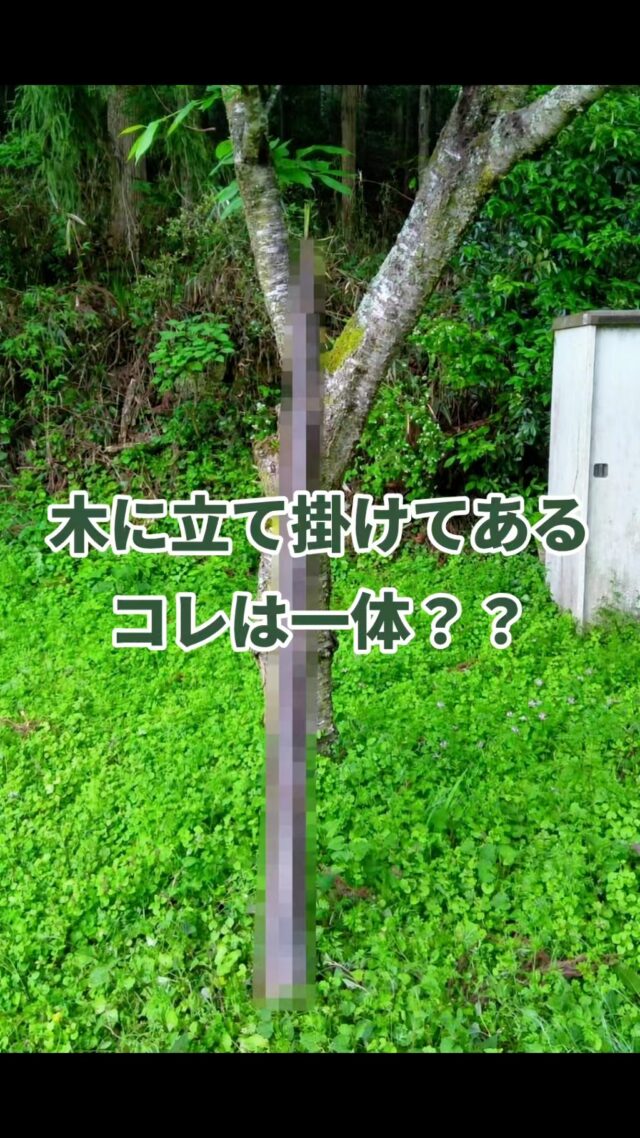 徳島で出会った珍百景(^_-)-☆
#オカベカミコン
#カミコン
#カミコンのある生活
#旅行
#徳島
#徳島県
#珍百景