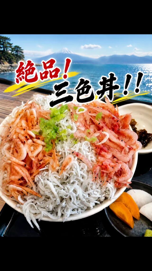 お客様のためなら北へ南へ東へ西へ。
今回は静岡県にて出会った、三色丼！
#オカベカミコン
#カミコン
#カミコンのある生活
#静岡グルメ
#駿河湾グルメ
#三色丼
#海鮮丼