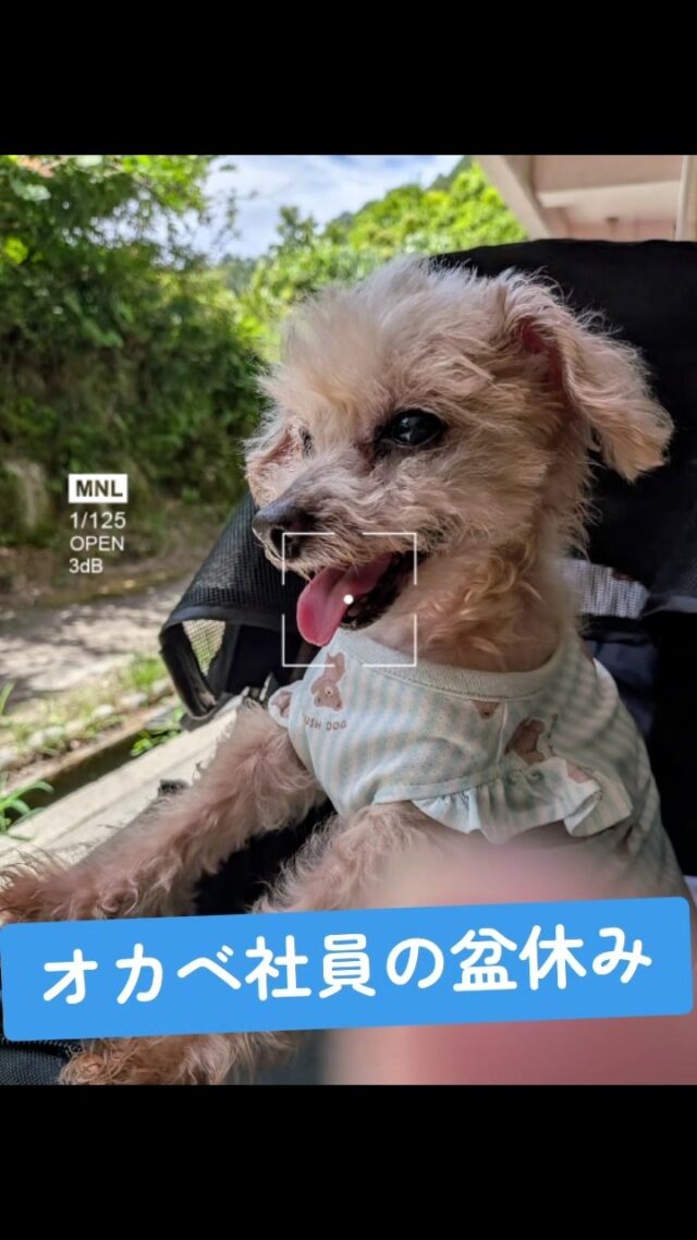 #オカベカミコン
#夏休み
#盆休み